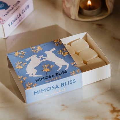 Mimosa Bliss Koku Barı